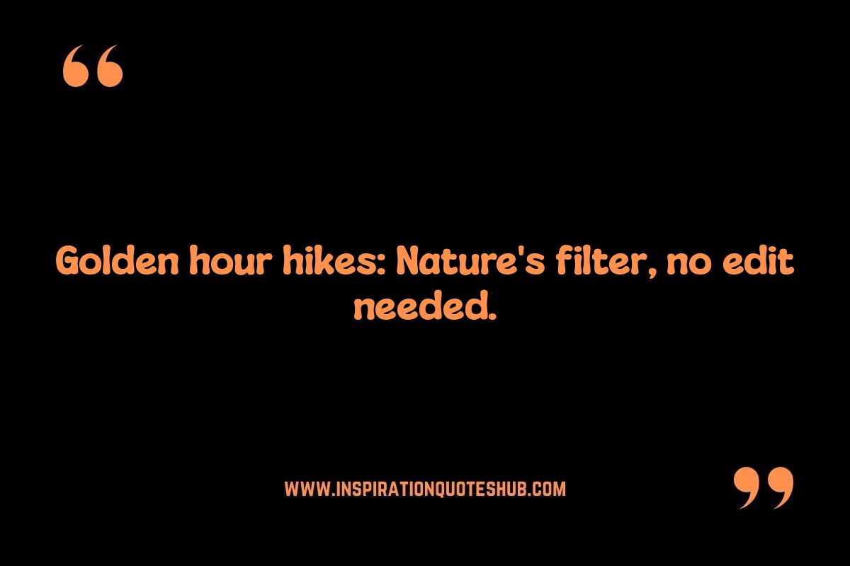 Sunshine Quotes for Nature Lovers: Embracing the Outdoors Sunshine Quotes for Nature Lovers: Embracing the Outdoors