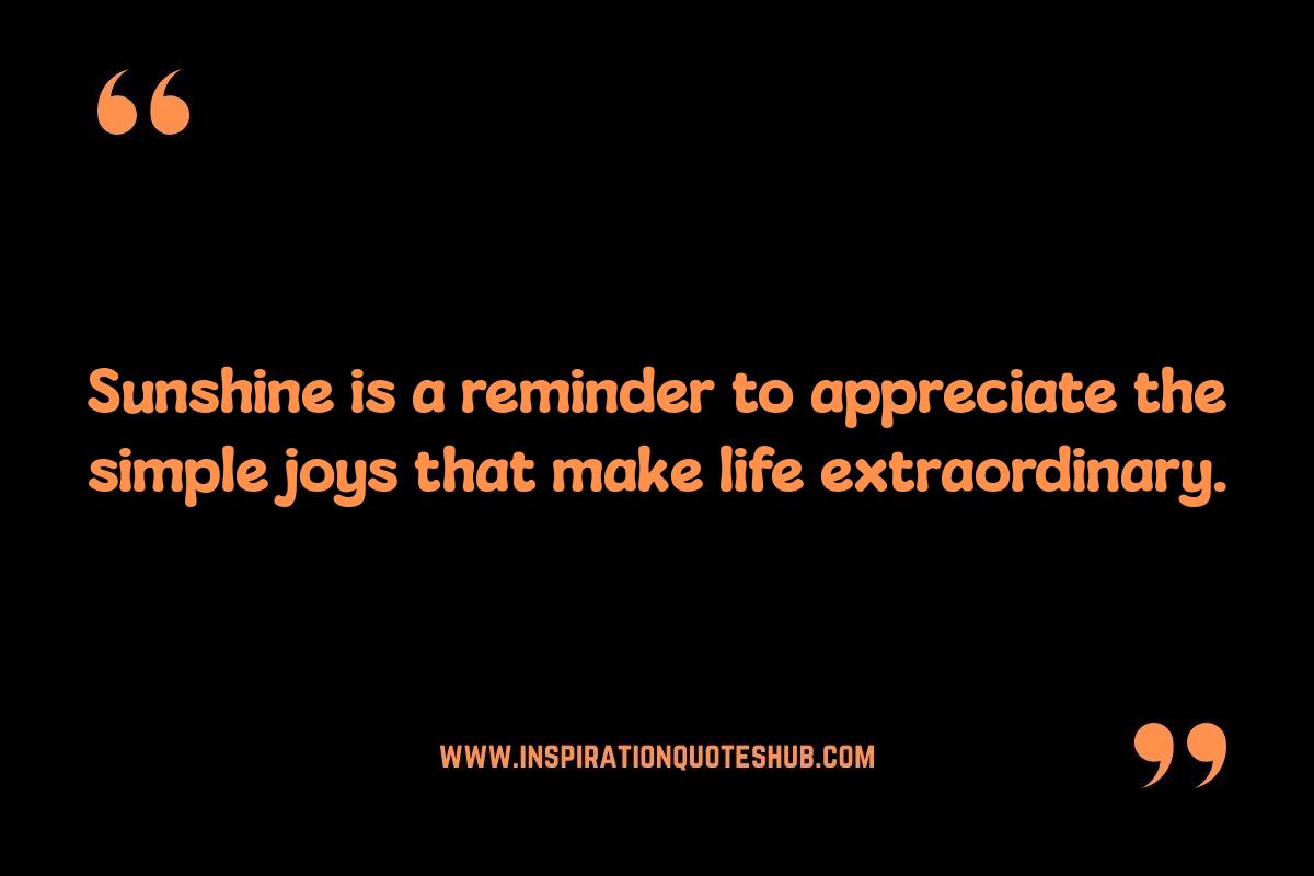 Sunshine and Happiness Quotes: Finding Joy Sunshine and Happiness Quotes: Finding Joy