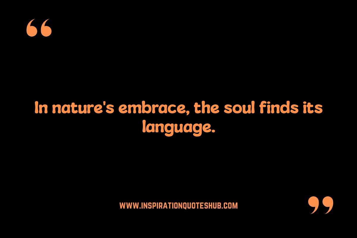 Finding Peace Outdoors: Spiritual Quotes About Nature's Serenity Finding Peace Outdoors: Spiritual Quotes About Nature's Serenity