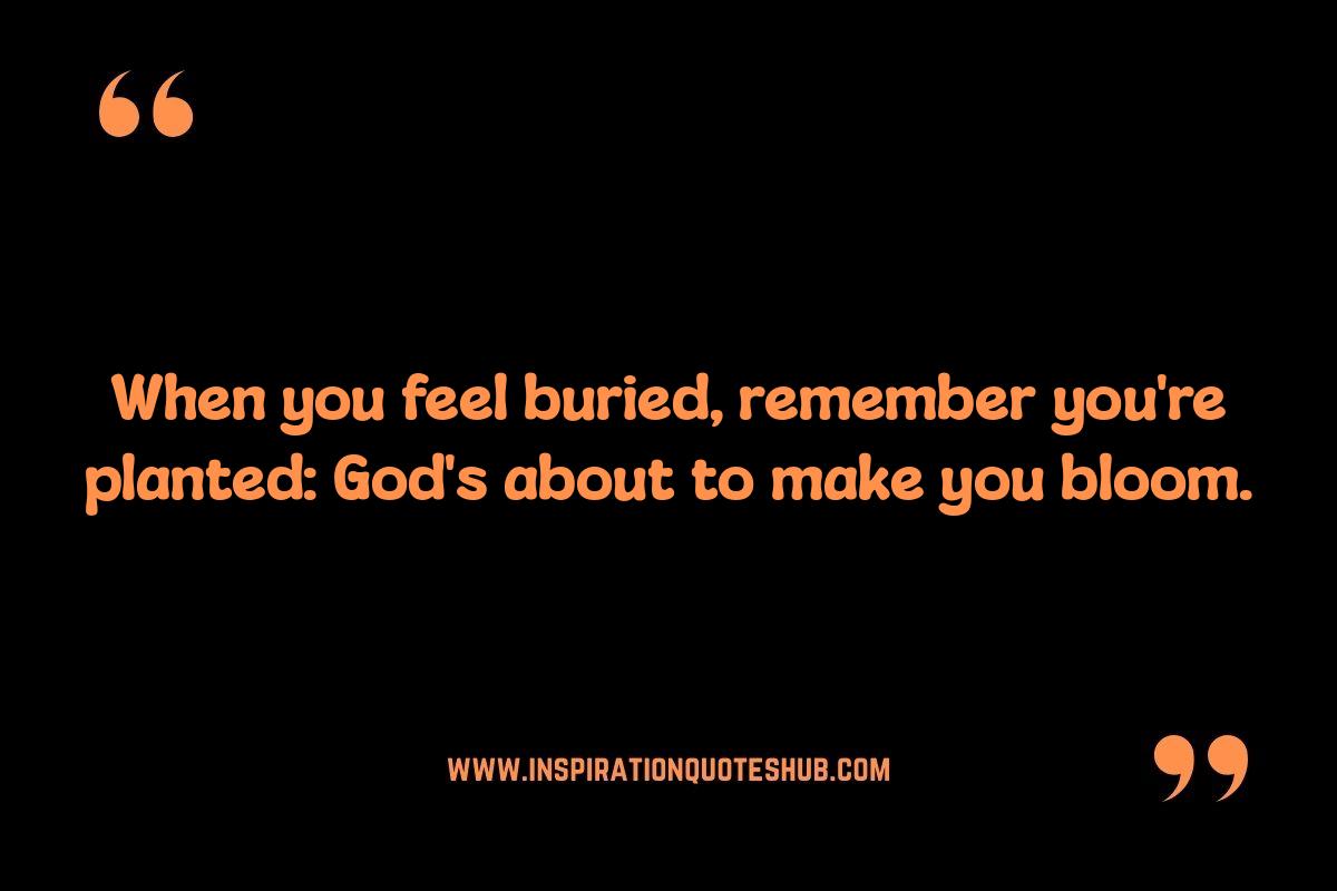 God Quotes: Using Divine Promises to Navigate Life's Hurdles God Quotes: Using Divine Promises to Navigate Life's Hurdles