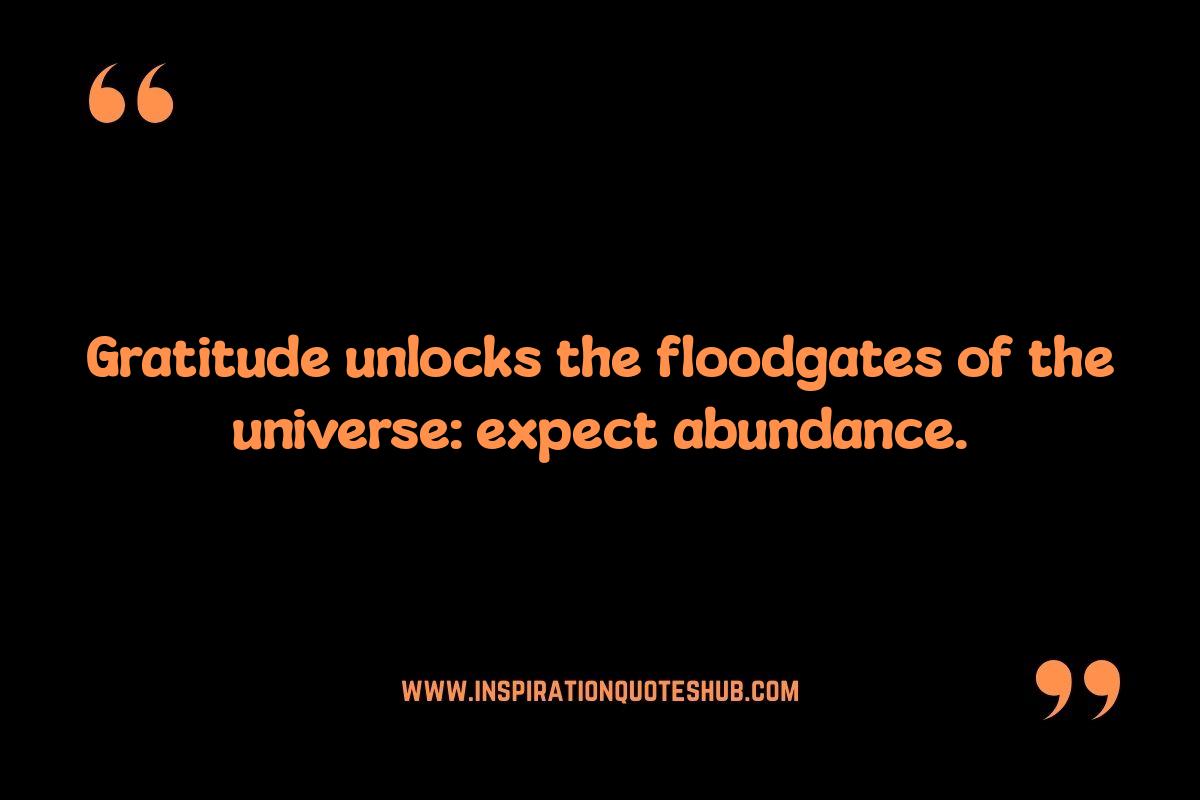 Law of Attraction Quotes: Gratitude and the Universe Law of Attraction Quotes: Gratitude and the Universe