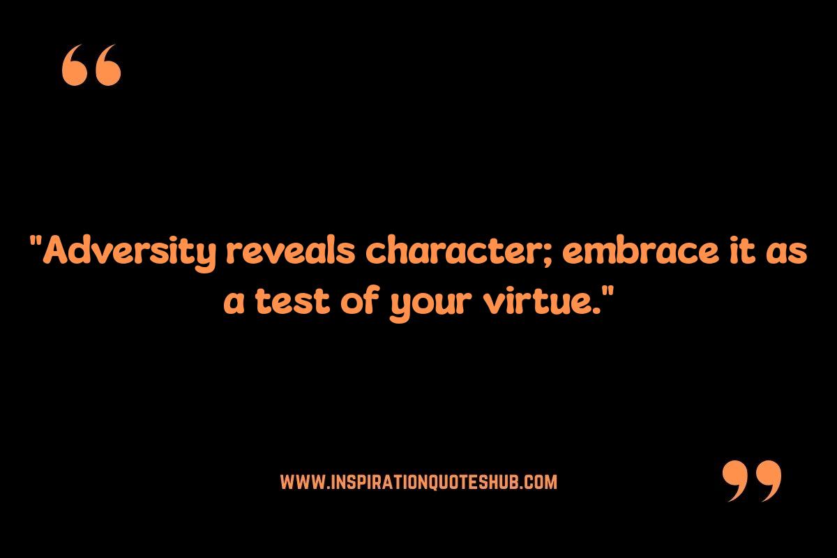 Marcus Aurelius Meditations Quotes: Dealing with Adversity Marcus Aurelius Meditations Quotes: Dealing with Adversity