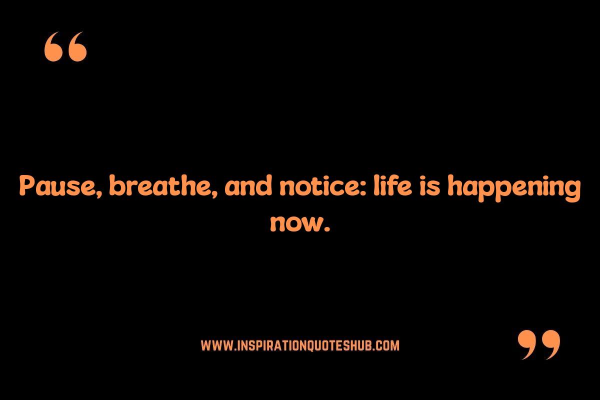 Mindfulness Quotes: Short Sayings for Daily Reflection Mindfulness Quotes: Short Sayings for Daily Reflection