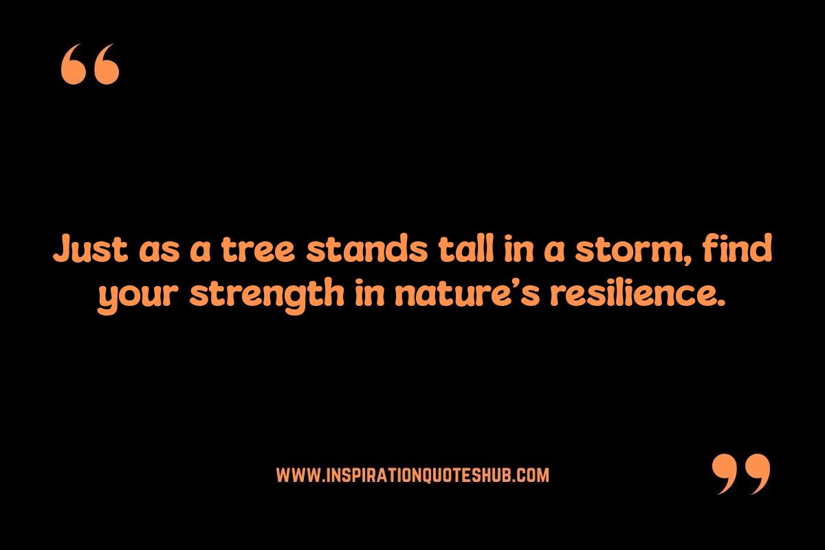Nature-Inspired Quotes for Anxiety Relief: Grounding Yourself Nature-Inspired Quotes for Anxiety Relief: Grounding Yourself