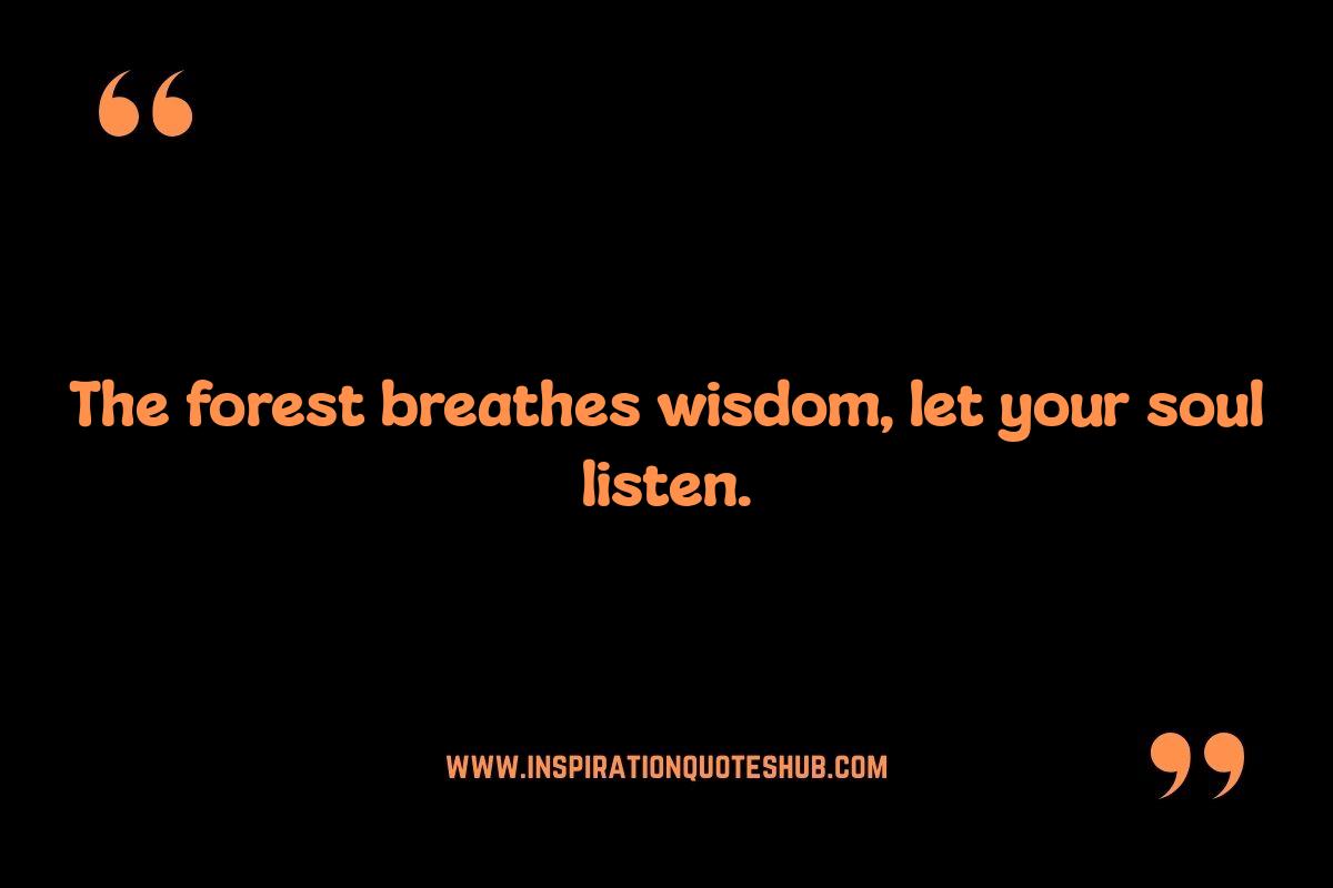 Nature's Reflection: Spiritual Quotes on Inner Peace and the Natural World Nature's Reflection: Spiritual Quotes on Inner Peace and the Natural World