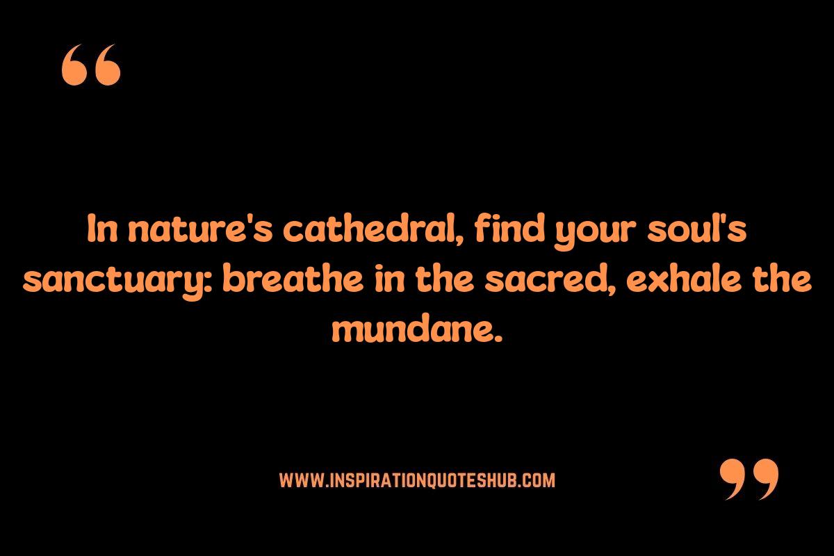 Reconnect with the Divine: Spiritual Quotes About Nature's Beauty Reconnect with the Divine: Spiritual Quotes About Nature's Beauty