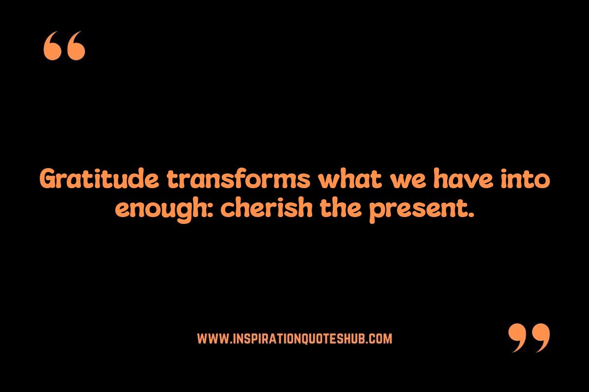 Stoic Quotes for Daily Life: Cultivating Gratitude Stoic Quotes for Daily Life: Cultivating Gratitude