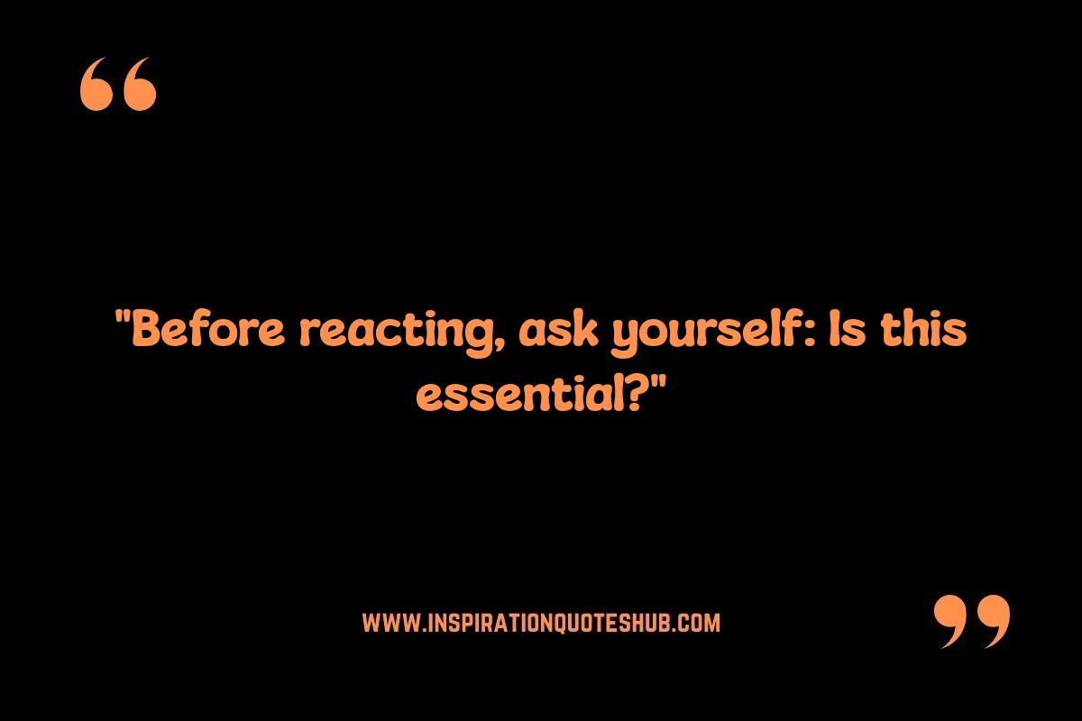 Stoic Quotes for Daily Life: Navigating Adversity Stoic Quotes for Daily Life: Navigating Adversity