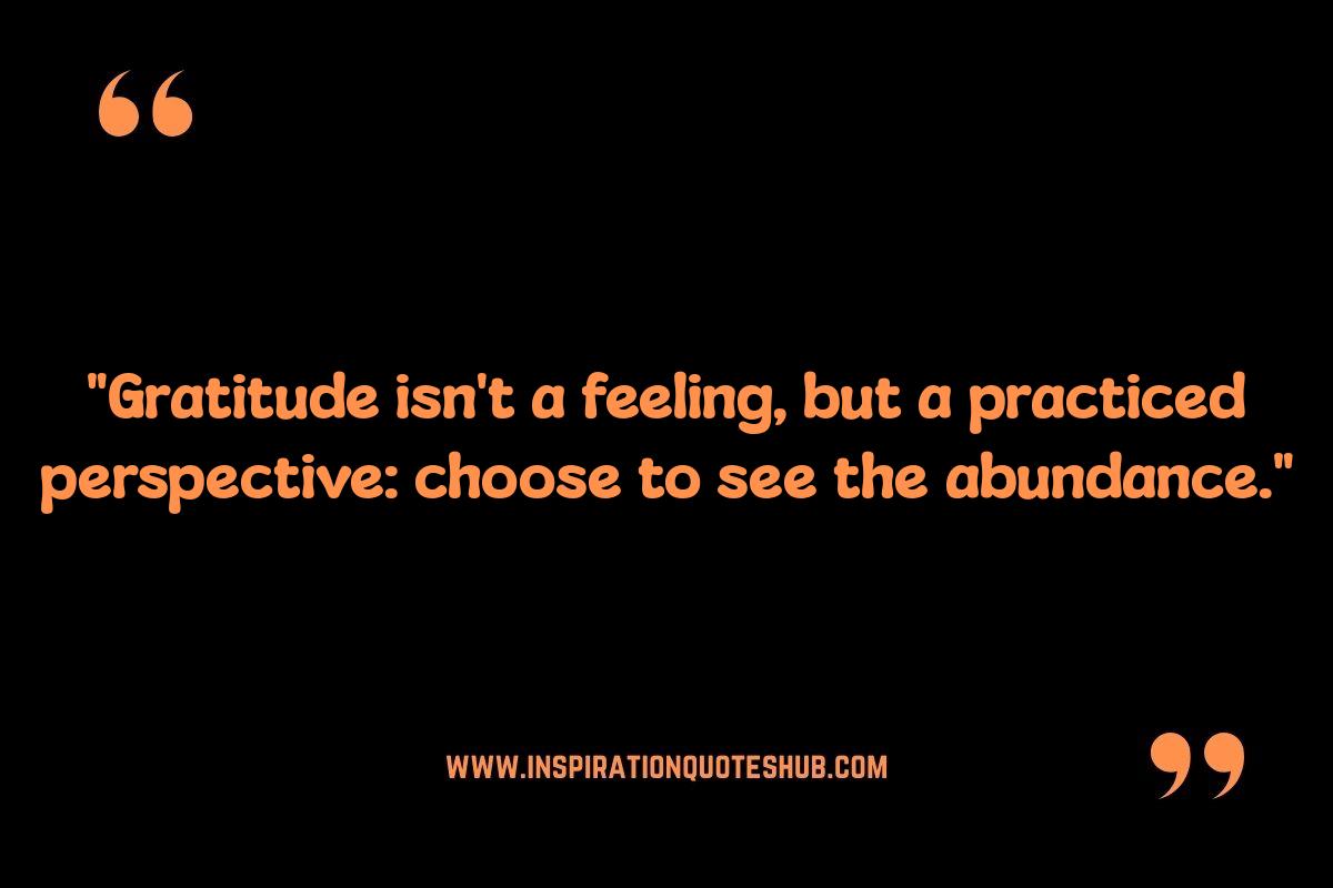 Stoic Quotes on Gratitude: Cultivating Inner Peace Stoic Quotes on Gratitude: Cultivating Inner Peace