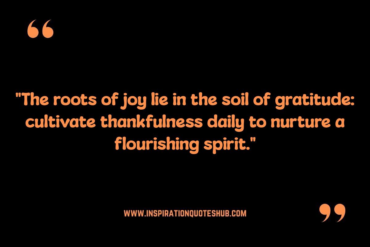 Stoic Quotes on Gratitude: Overcoming Adversity with Appreciation Stoic Quotes on Gratitude: Overcoming Adversity with Appreciation
