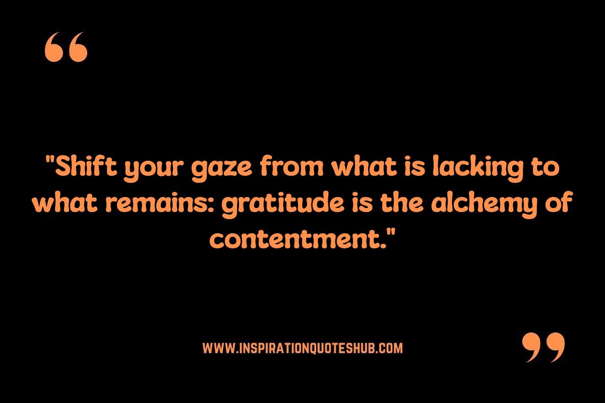 Stoic Quotes on Gratitude: Practical Application in Daily Life Stoic Quotes on Gratitude: Practical Application in Daily Life