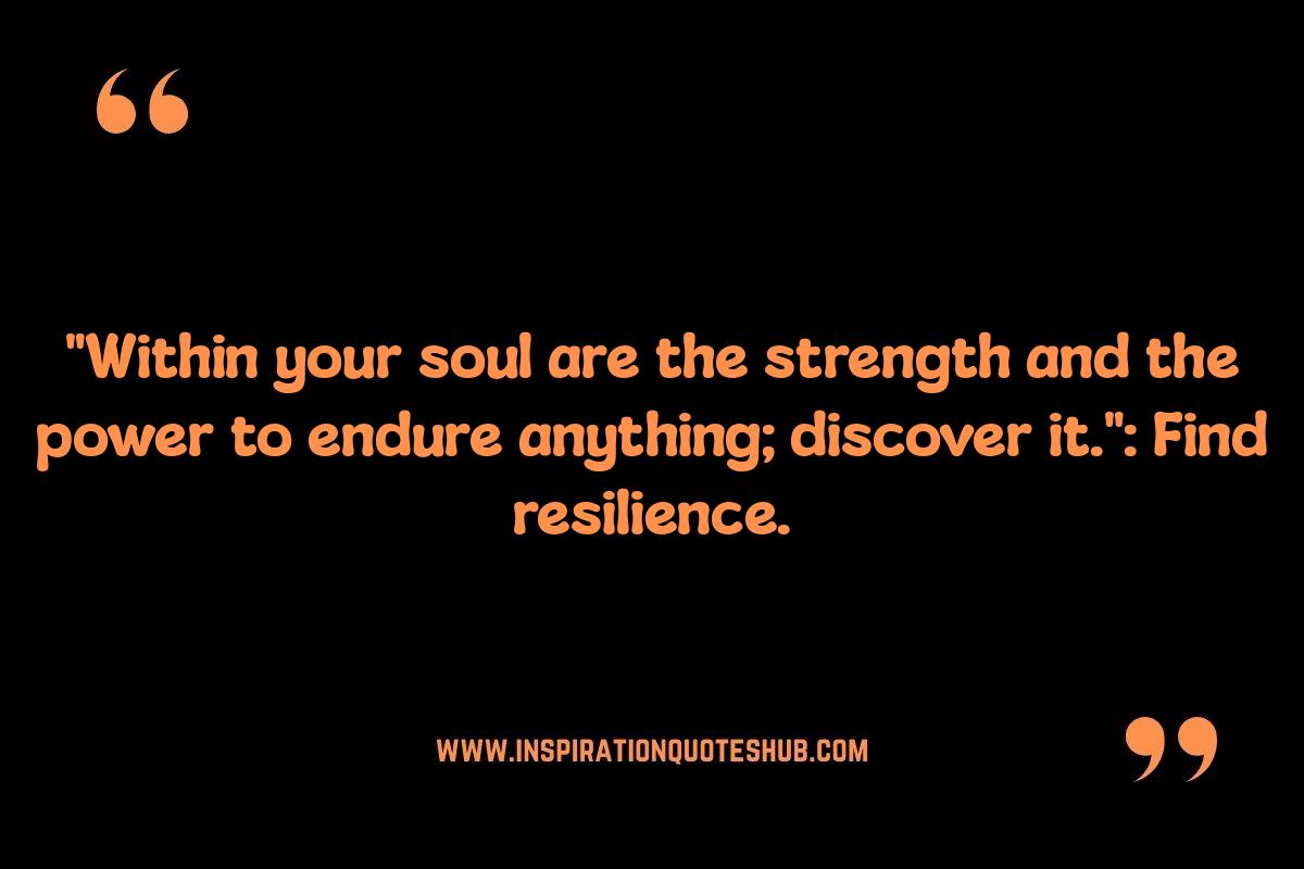 Stoicism Quotes for Resilience: Embracing Adversity Stoicism Quotes for Resilience: Embracing Adversity