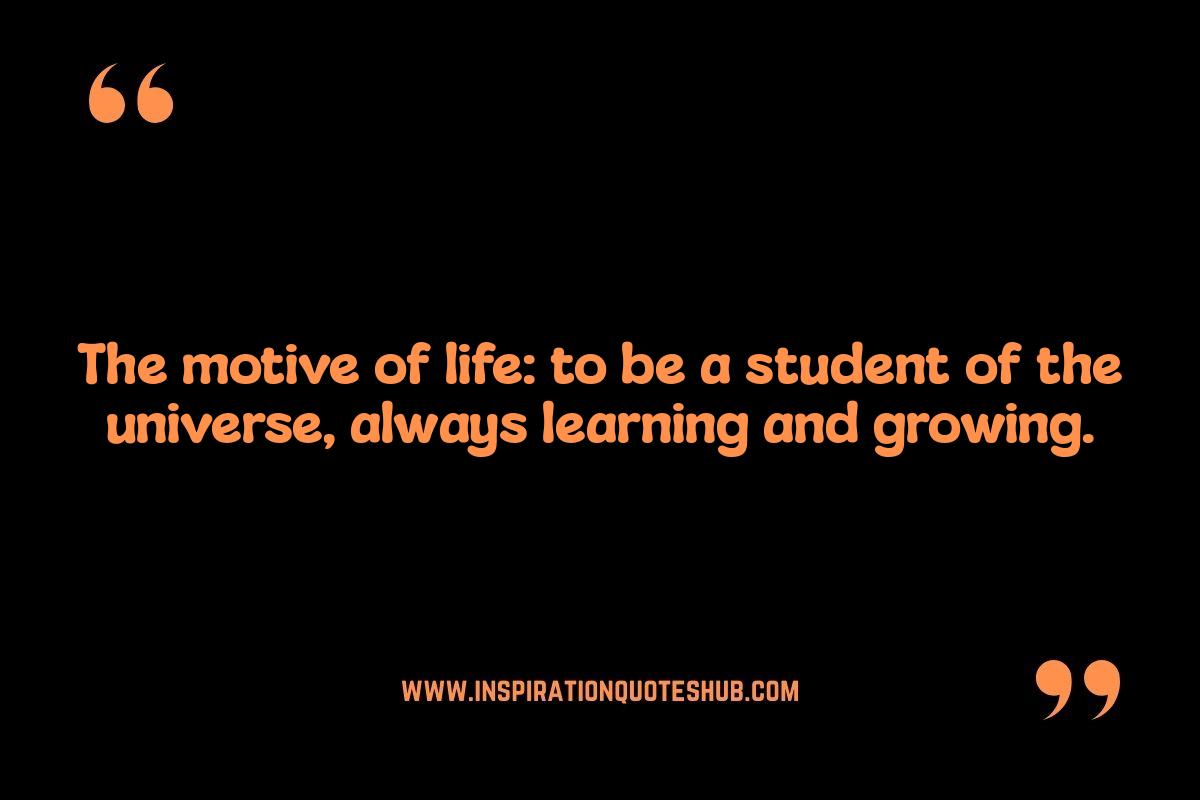 What Is Life Quotes: Exploring Perspectives Across Cultures What Is Life Quotes: Exploring Perspectives Across Cultures